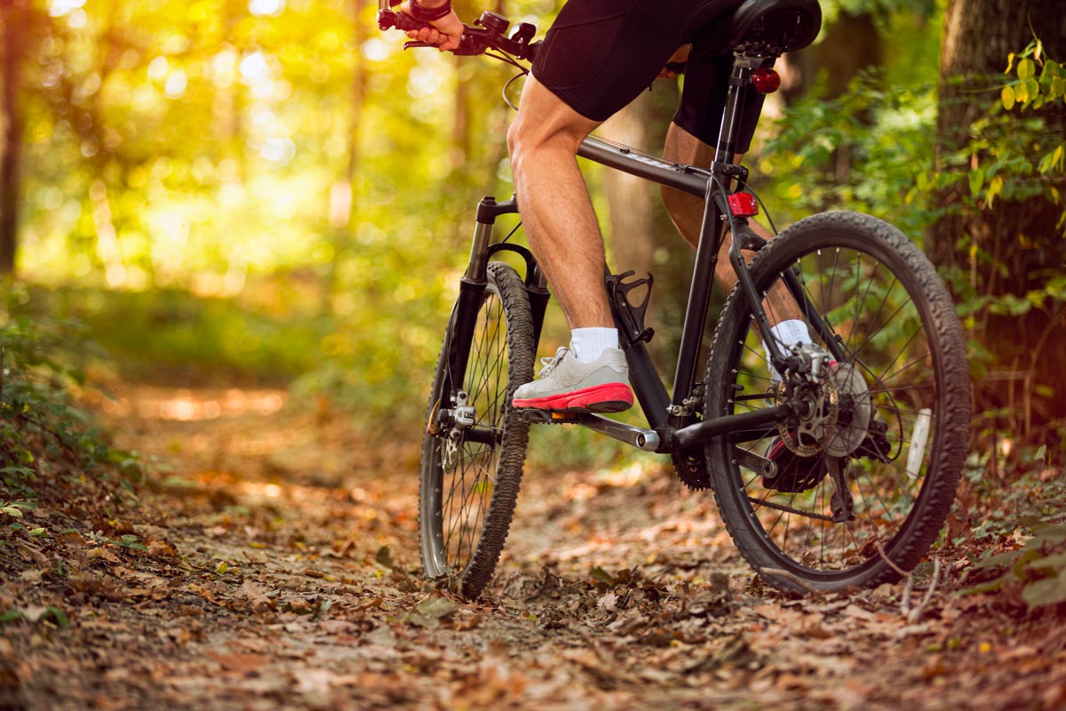 Vuoi iniziare con la Mountain-Bike?