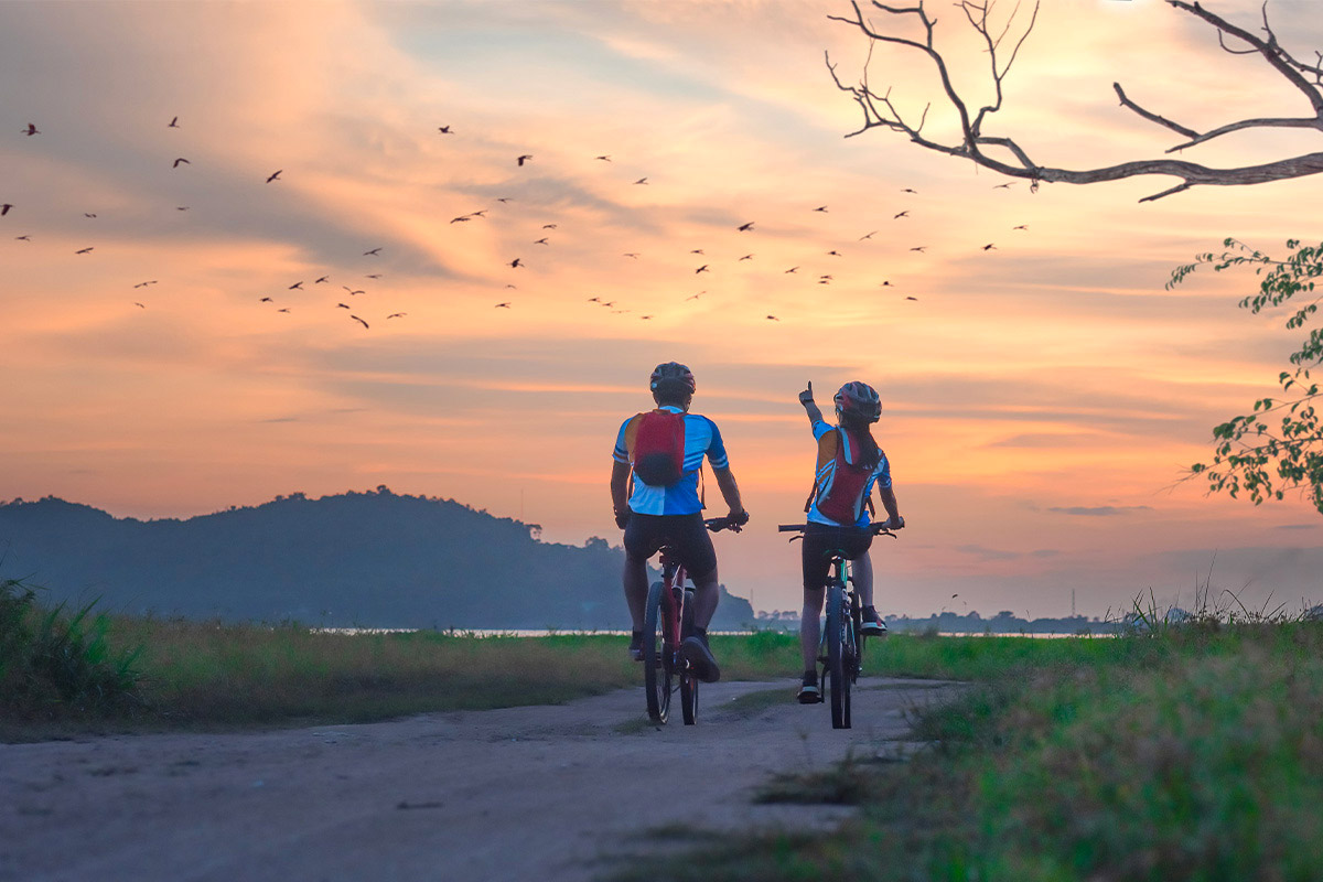 Manutenzione e San Valentino: scopri le promo Doctorbike di febbraio